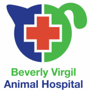 Beverly Virgil Animal Hospital in Los Angeles, CA